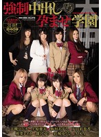 HNDS-024