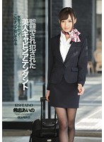 IPZ-522