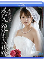 MXBD-077