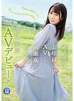 IPIT-023