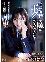 MVSD-496