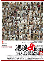 DPJT-146