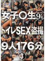 BDSR-484
