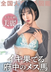 KNB-223