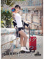 DRPT-045