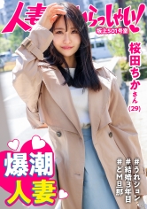 KNB-272