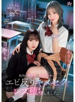DASS-486