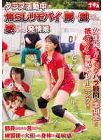 NHDTB-986